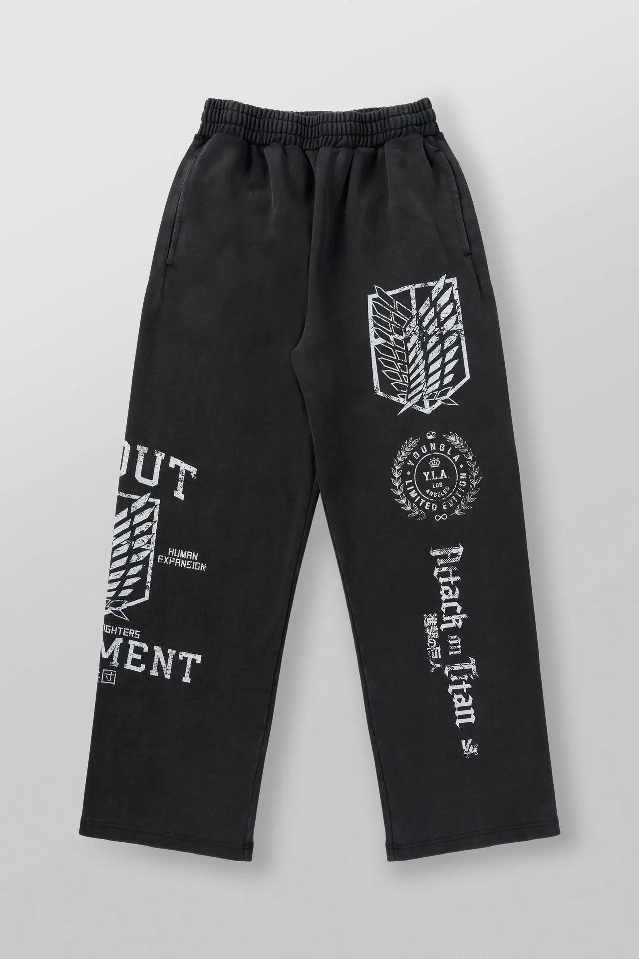 Attack on Titan Wings's Freedom Sweatpants